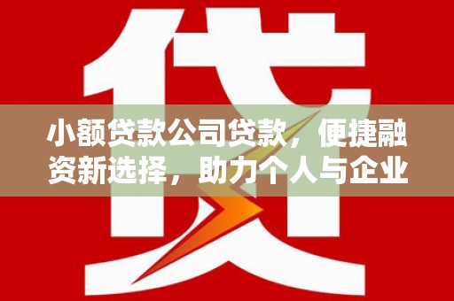 临邑小额贷款公司贷款，便捷融资新选择，助力个人与企业成长