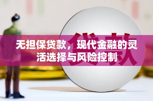 维西无担保贷款，现代金融的灵活选择与风险控制