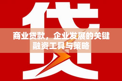 坪山新区商业贷款，企业发展的关键融资工具与策略
