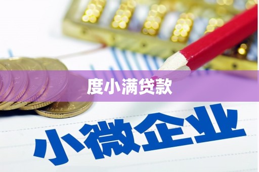 纳溪度小满贷款